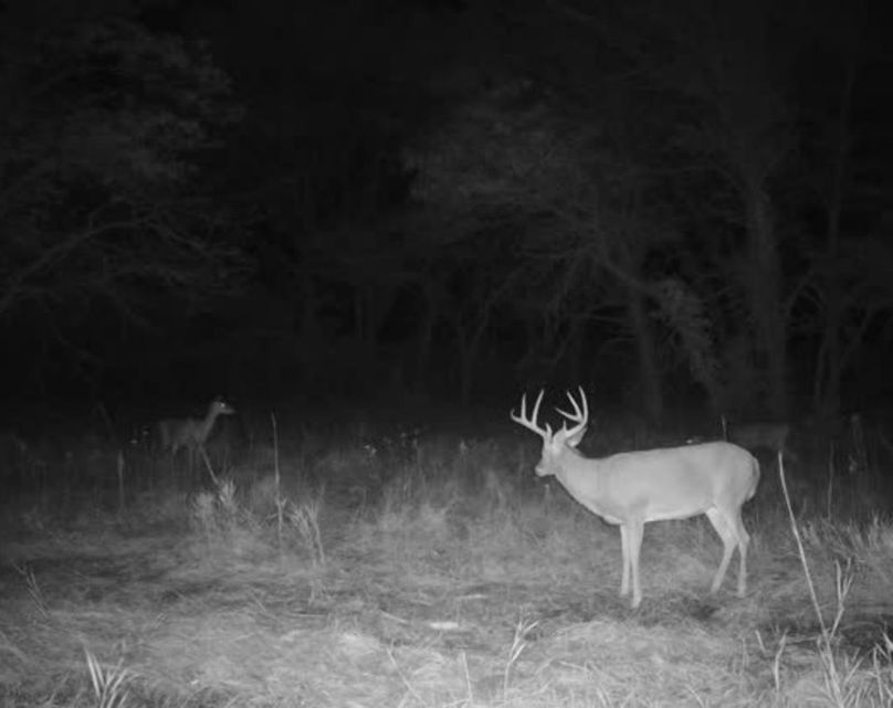 Screenshot_20220926-120054