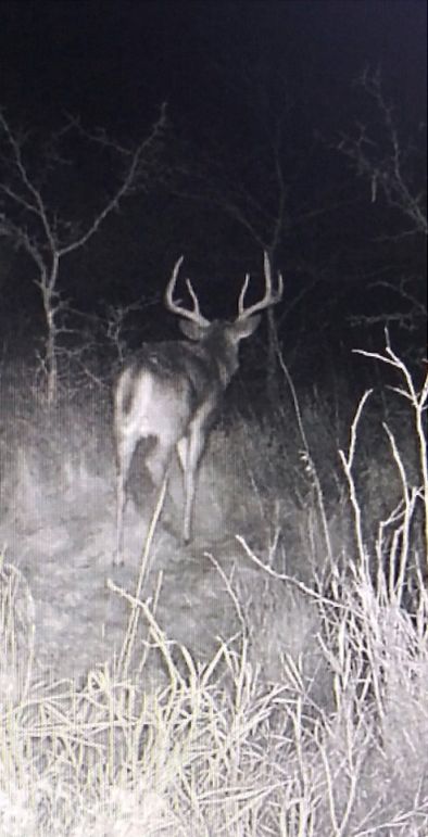 Screenshot_20220926-120417