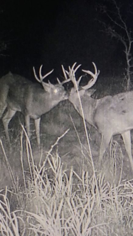 Screenshot_20220926-120302