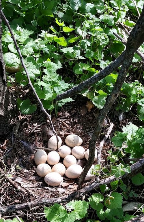 Screenshot_20220926-120544