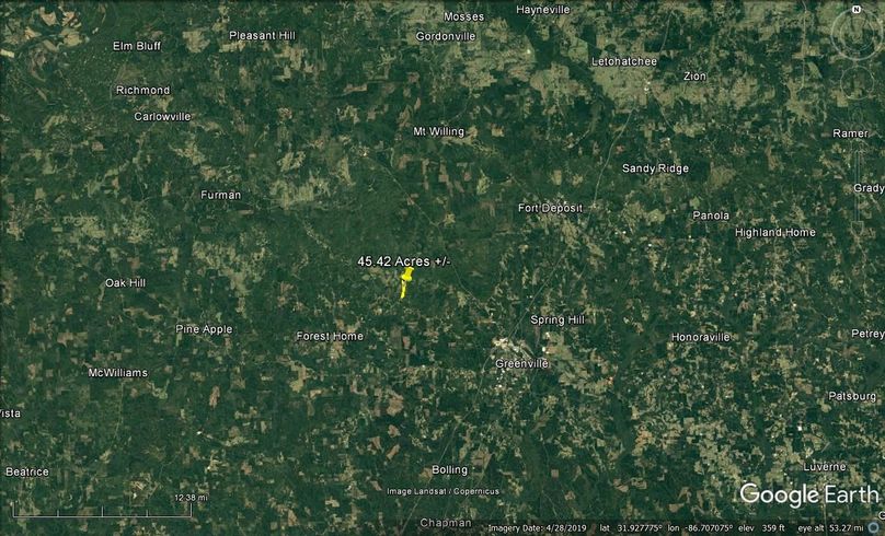 Aerial #7 Approx. 45.42 Acres Butler County, AL