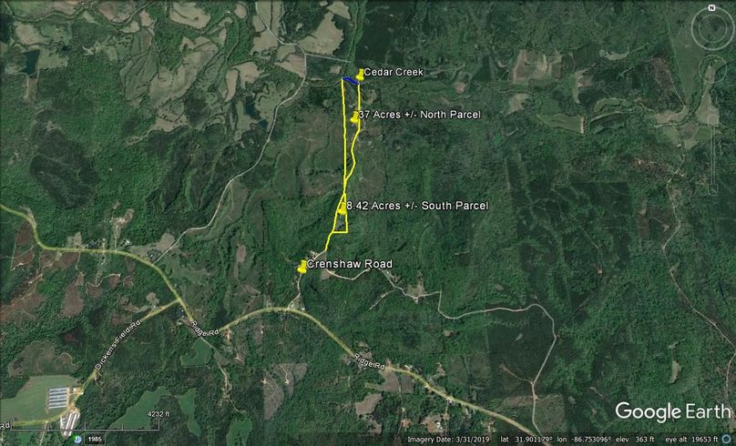 Aerial #6 Approx. 45.42 Acres Butler County, AL