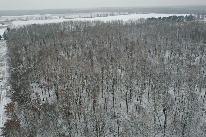 Burnett13.53Johnson-011