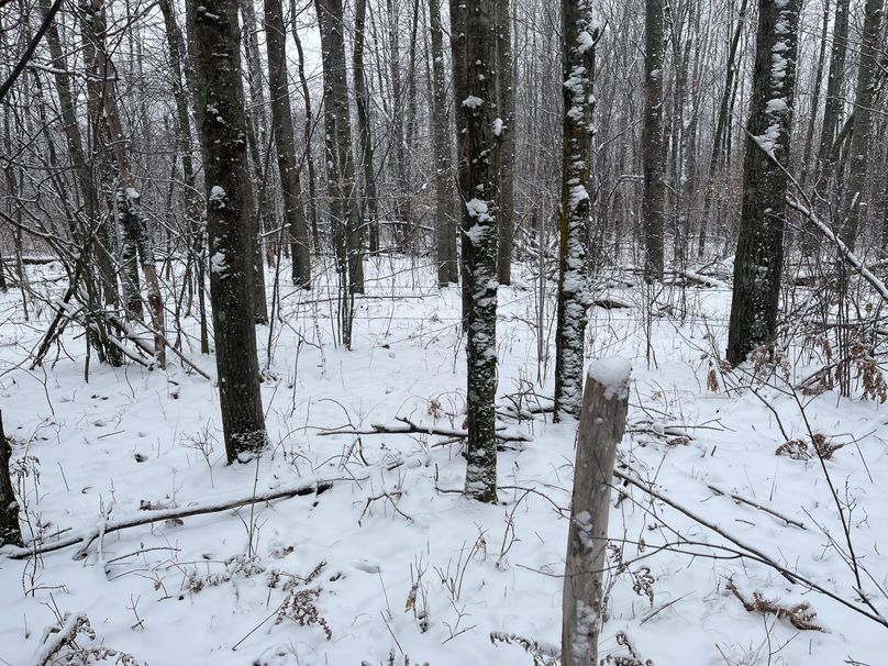 Burnett13.53Johnson-005