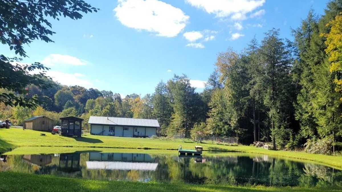 Affordable Home Or Ideal Camp With Pond, Near NYS Forest Whitetail