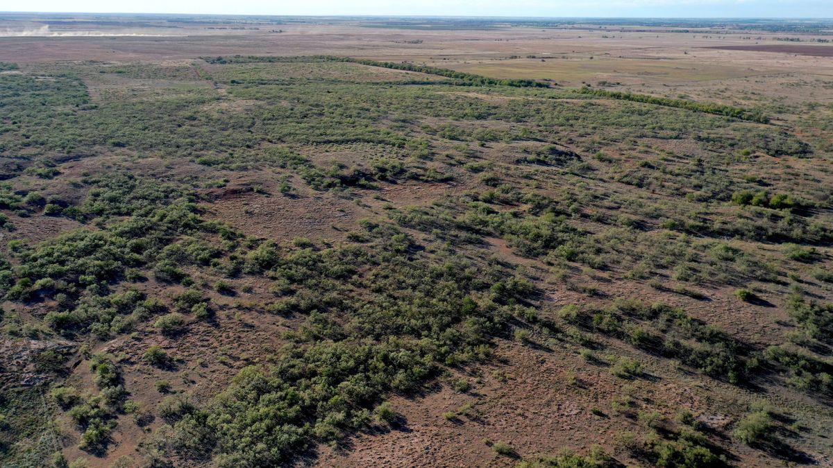 MultiUse Mesquite Ranchland Whitetail Properties