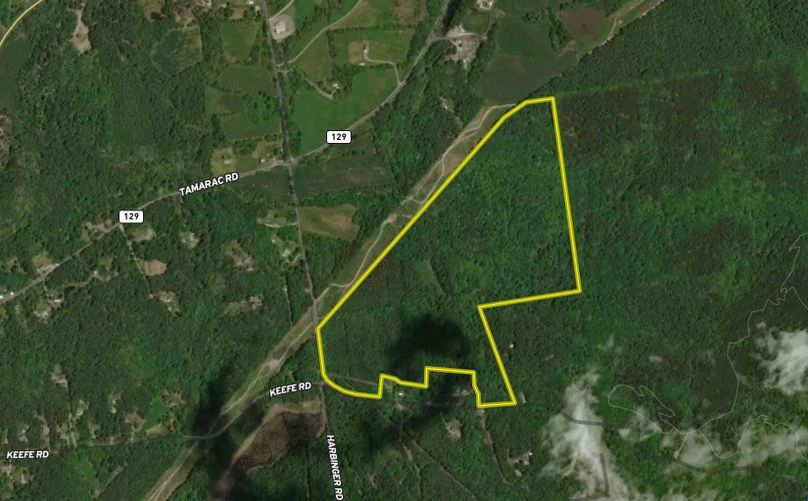 Rensselaer County NY 100.2 Bellini Google Map