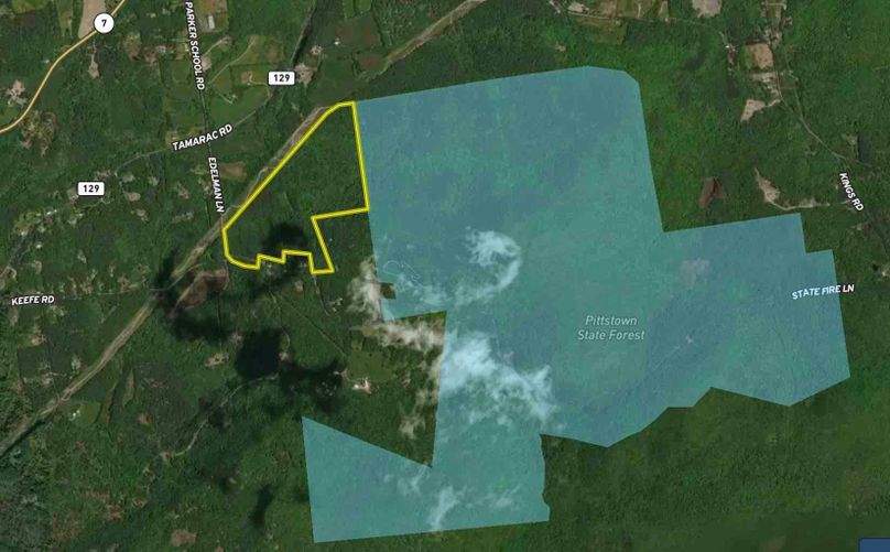 Rensselaer County NY 100.2 Bellini Proximity to State Land Map