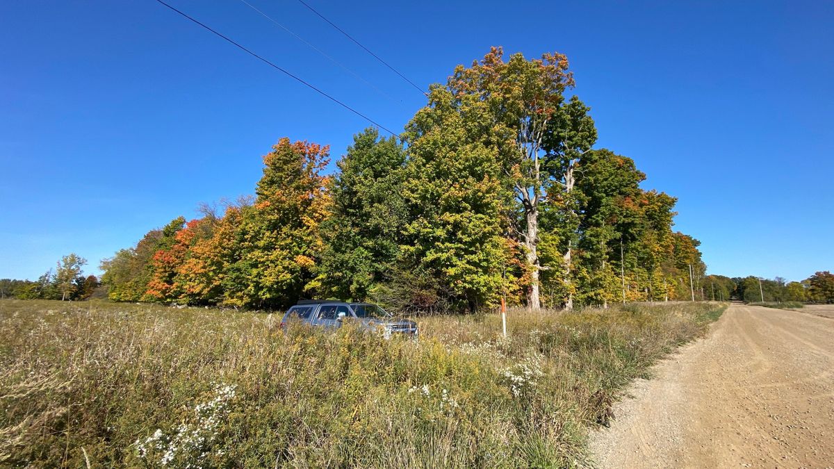 Hunting Tract With Tillable On The Thornapple River Whitetail Properties