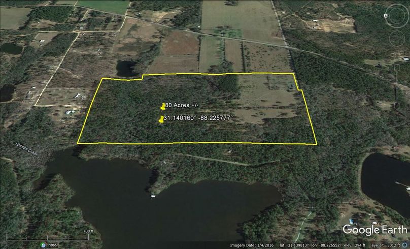 Aerial #3 Approx. 80 Acres Mobile County, AL