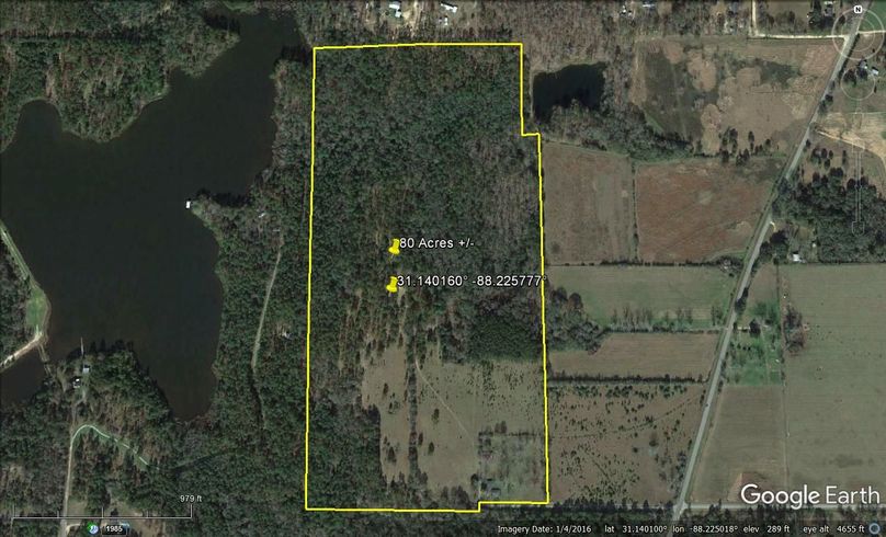 Aerial #1 Approx. 80 Acres Mobile County, AL