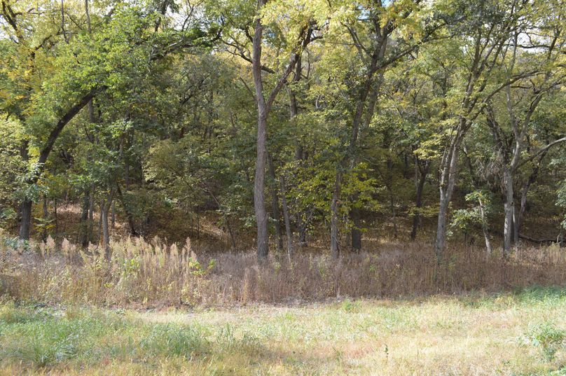 DSC_0093 (1)