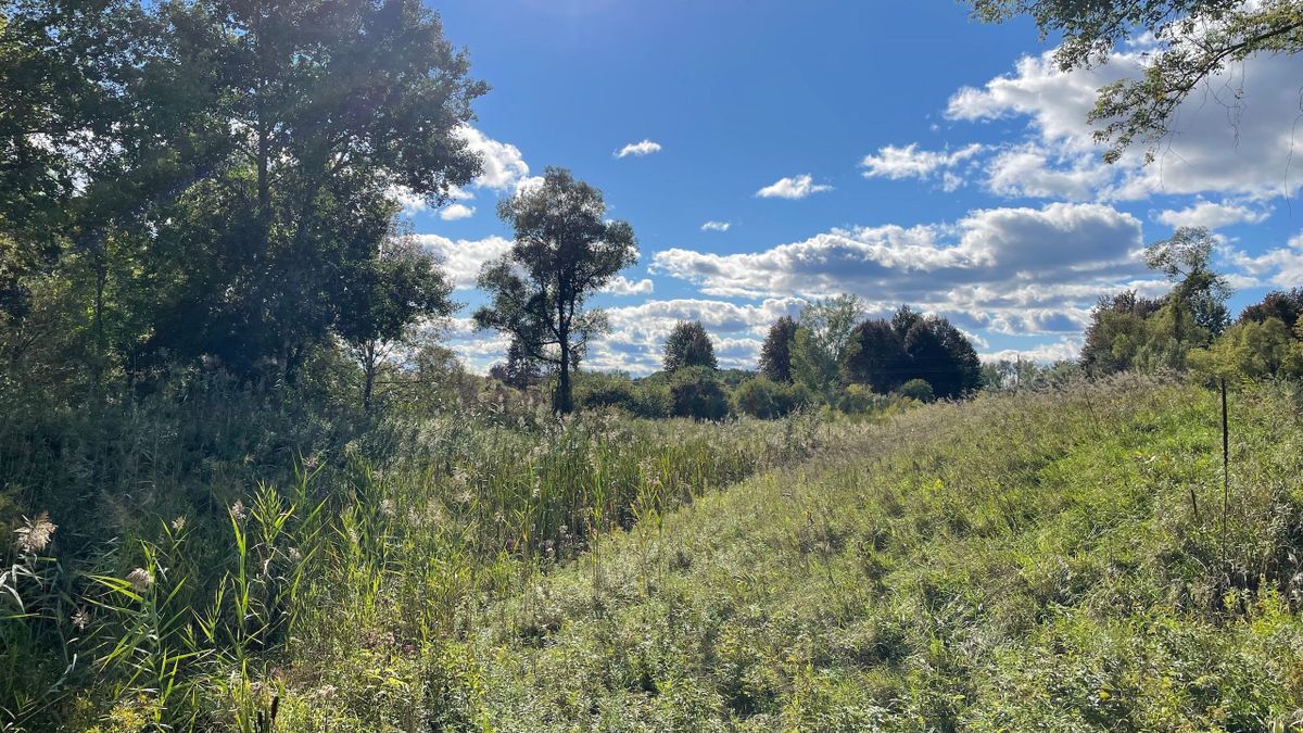 Nice Hunting Tract Near Kingston Whitetail Properties