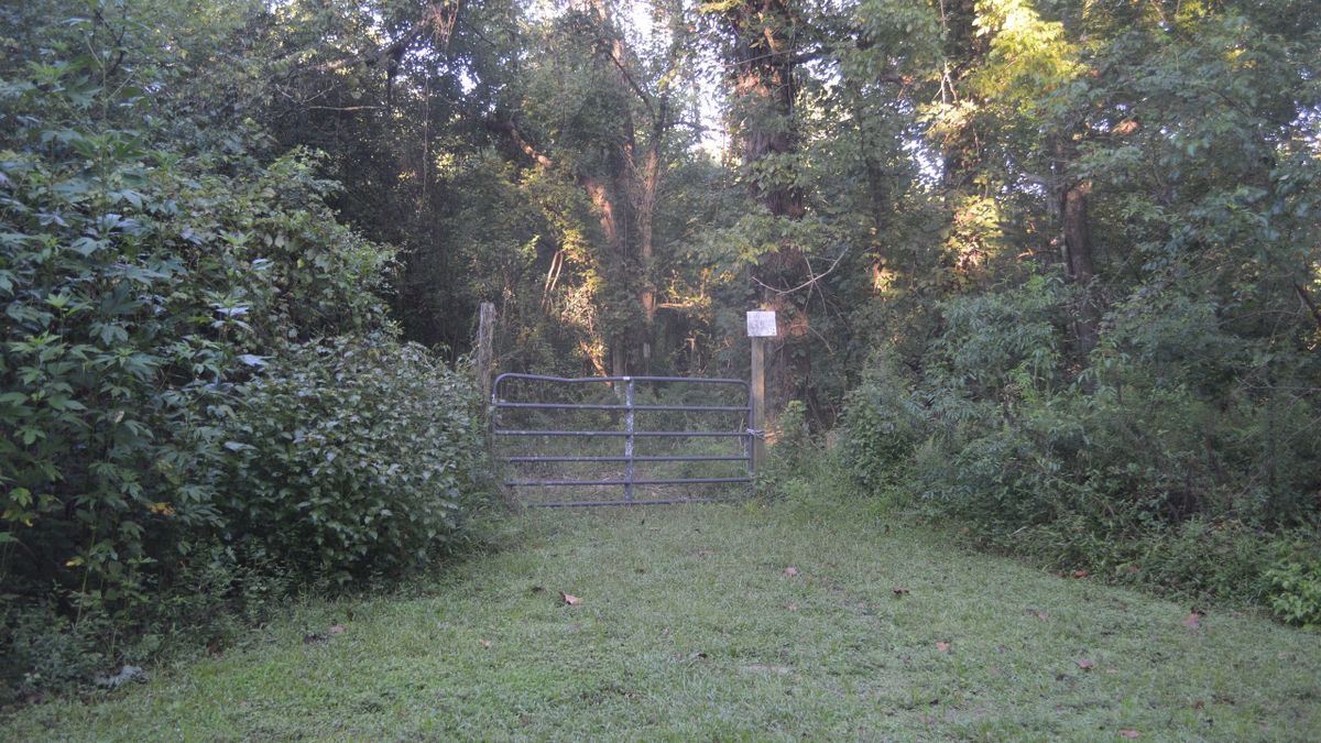 Bottomland Hardwood Tract In The Atchafalaya Basin Whitetail Properties