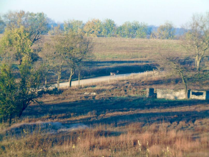 Captured 11-07-2004 00012