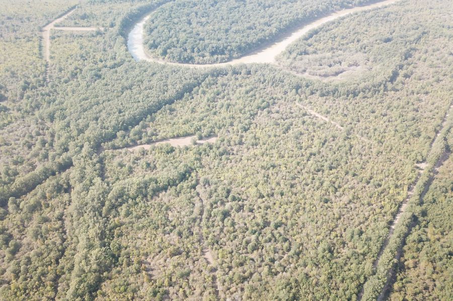 DJI_0391