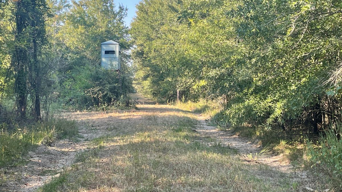 Trophy Whitetail Hunting Whitetail Properties