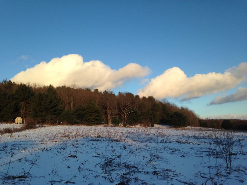 Tioga_114_Flacco Photo 101