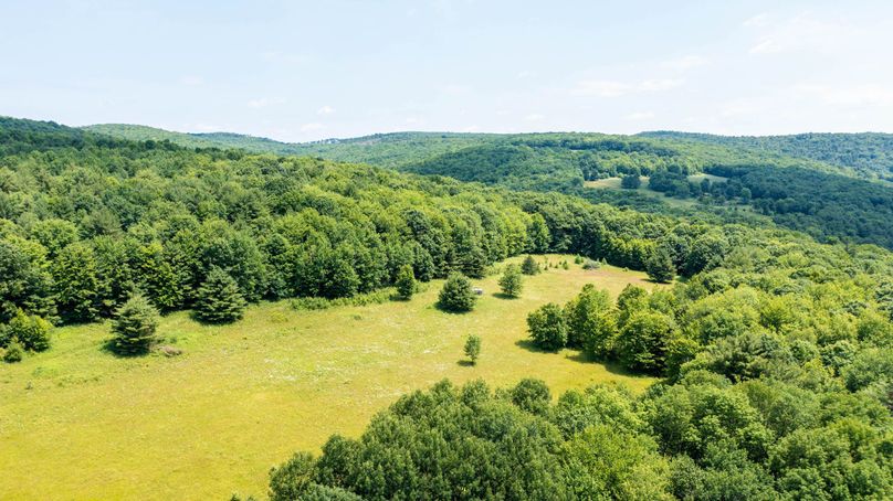 Tioga_114_Flacco Photo 116