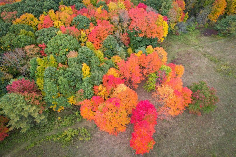 Tioga_114_Flacco Photo 25