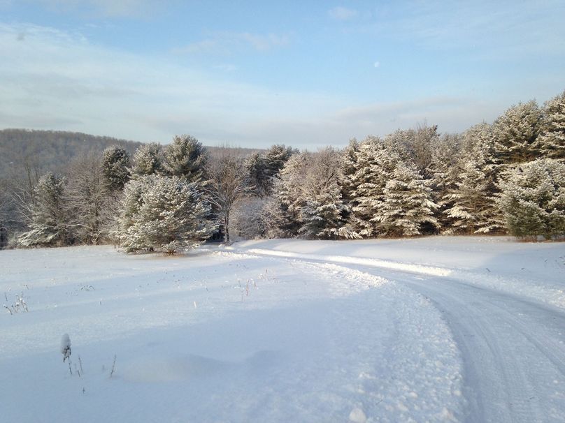 Tioga_114_Flacco Photo 84