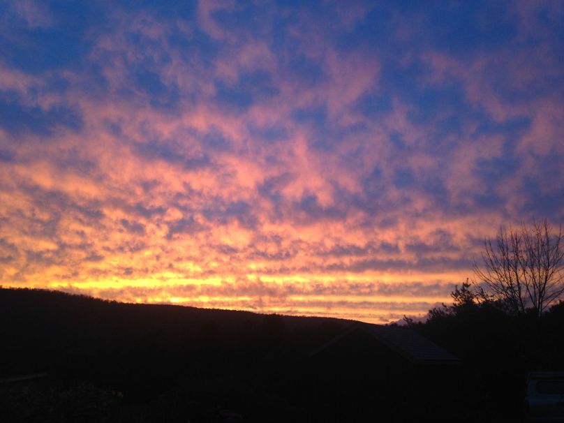 Tioga_114_Flacco Photo 102