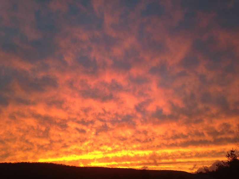 Tioga_114_Flacco Photo 42