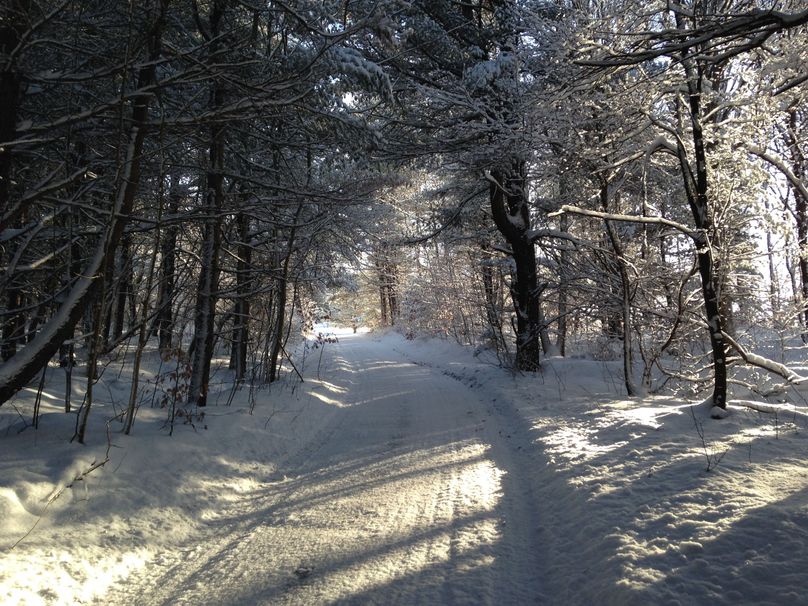 Tioga_114_Flacco Photo 88