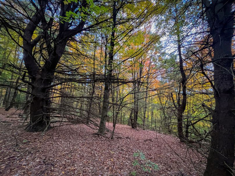 Tioga_114_Flacco Photo 41