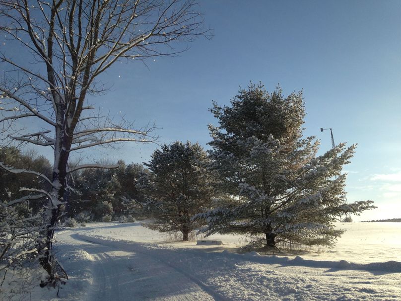 Tioga_114_Flacco Photo 89