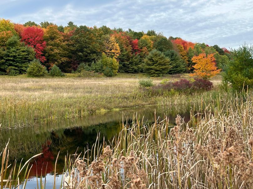 Tioga_114_Flacco Photo 29