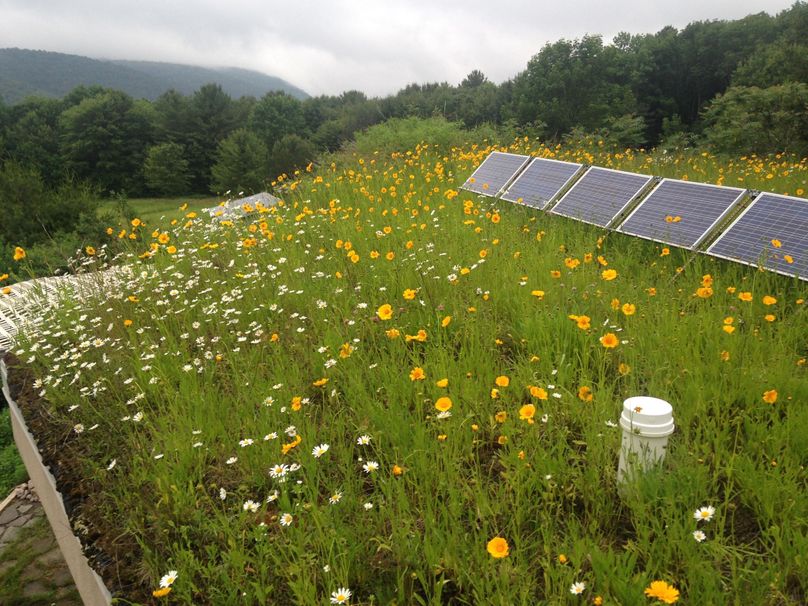 Tioga_114_Flacco Photo 79 a