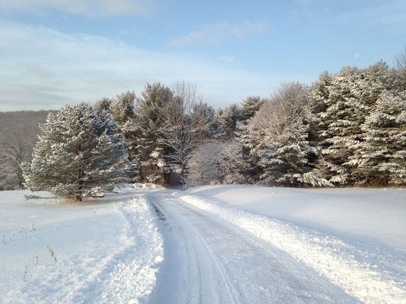 Tioga_114_Flacco Photo 92