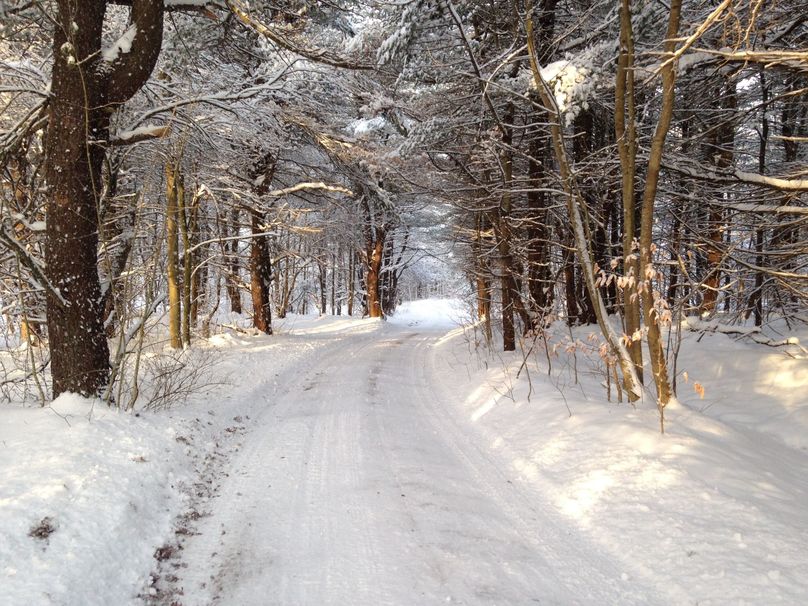 Tioga_114_Flacco Photo 93