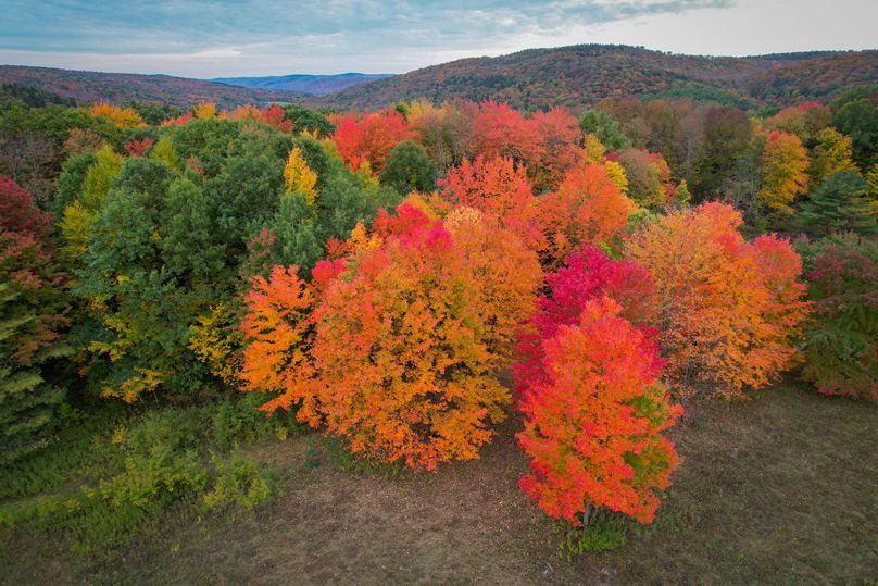 Tioga_114_Flacco Photo 23