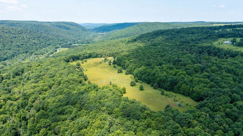 Tioga_114_Flacco Photo 52