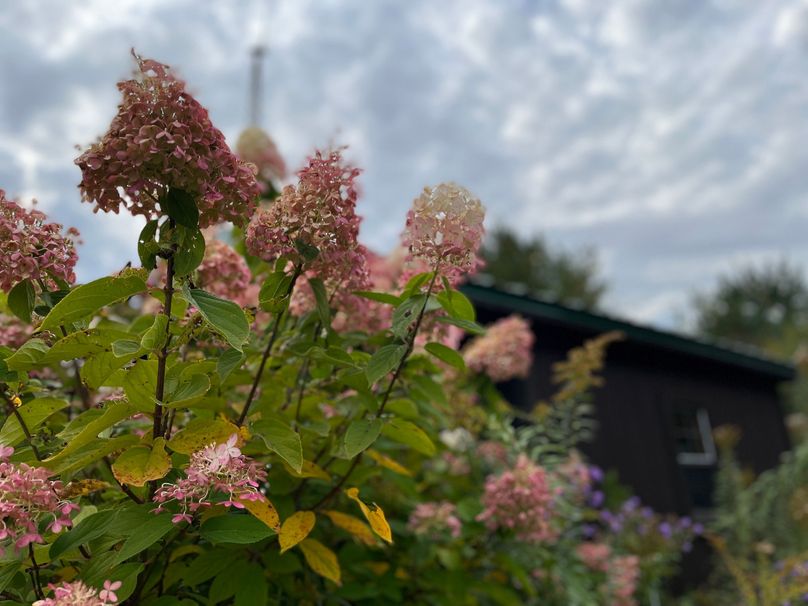 Tioga_114_Flacco Photo 78