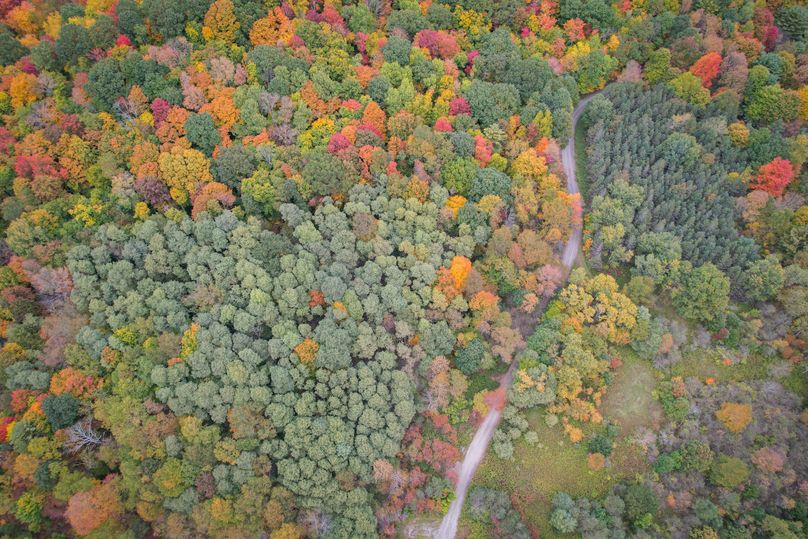 Tioga_114_Flacco Photo 48