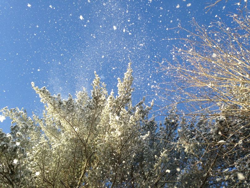 Tioga_114_Flacco Photo 96