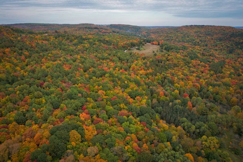 Tioga_114_Flacco Photo 44