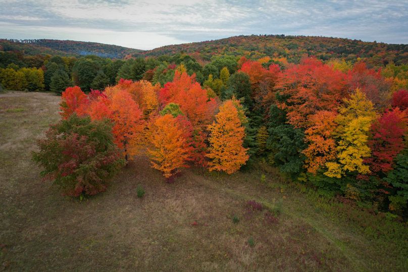 Tioga_114_Flacco Photo 24