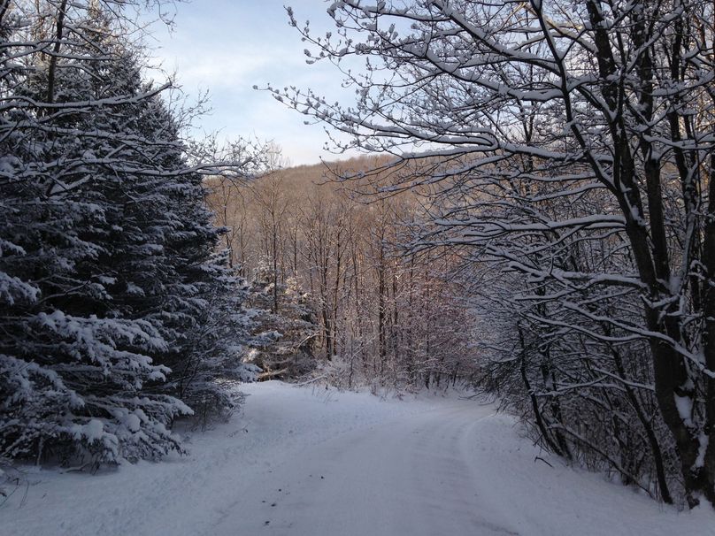 Tioga_114_Flacco Photo 95