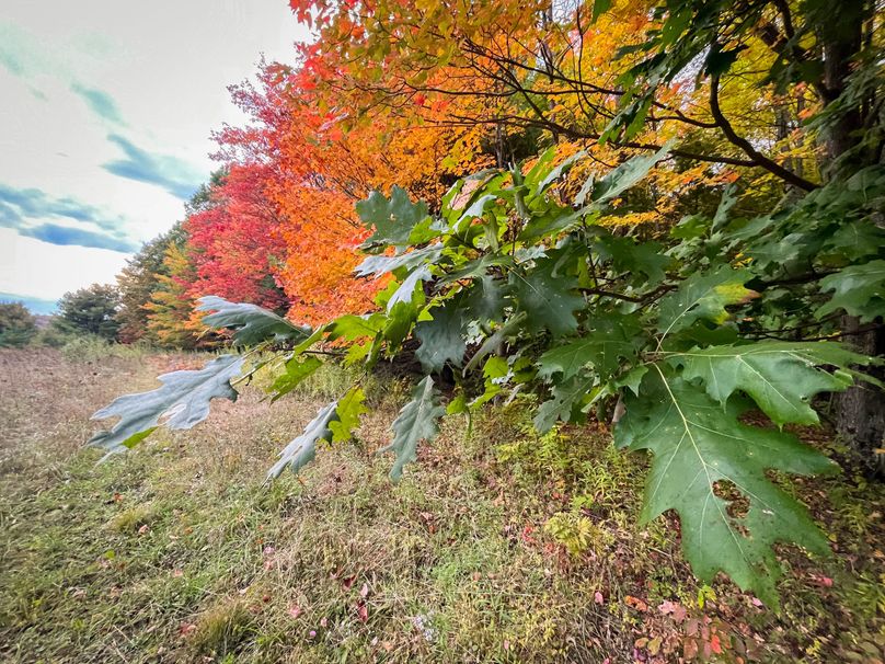 Tioga_114_Flacco Photo 69