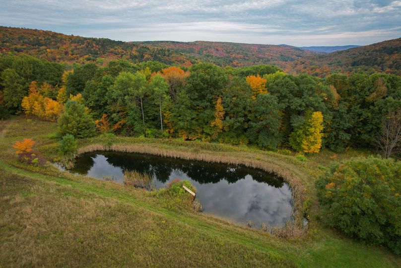 Tioga_114_Flacco Photo 26