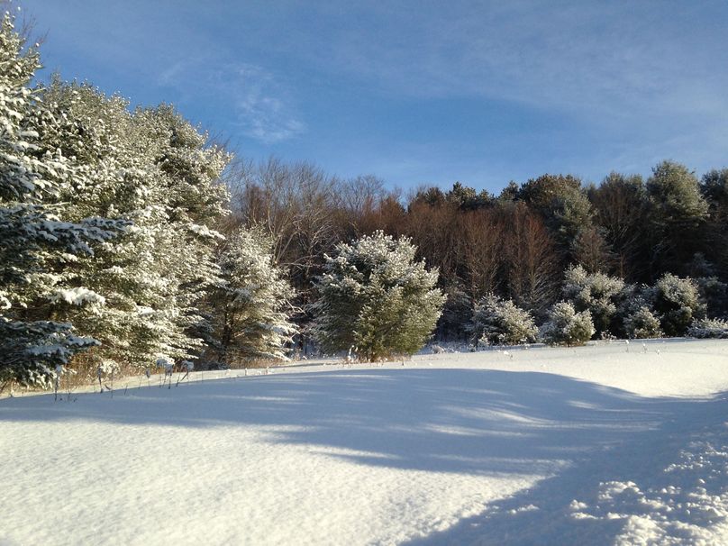 Tioga_114_Flacco Photo 97