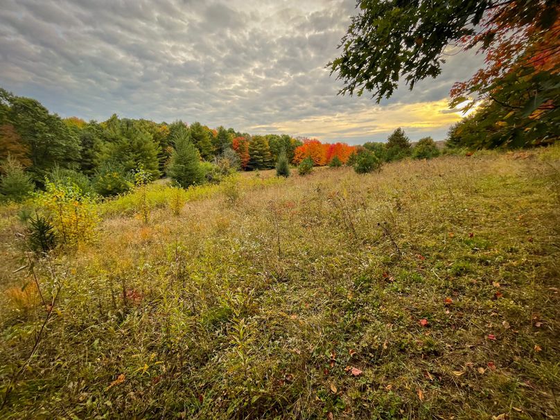 Tioga_114_Flacco Photo 68