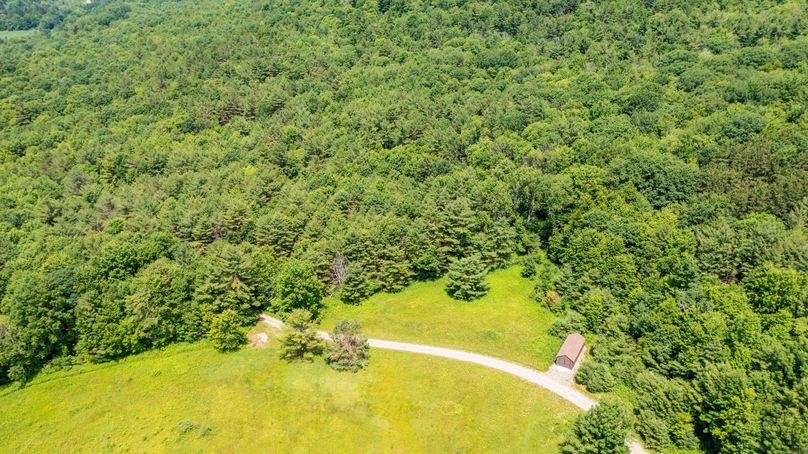 Tioga_114_Flacco Photo 119