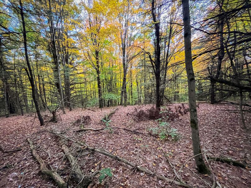 Tioga_114_Flacco Photo 64