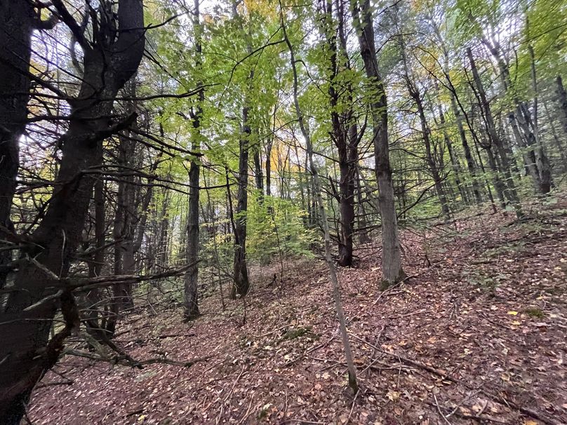 Tioga_114_Flacco Photo 61