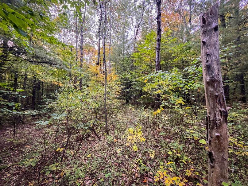 Tioga_114_Flacco Photo 63